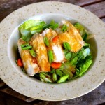 Asian Chicken Salad