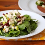 Chicken Salad with Dried Cherries & Pistachios